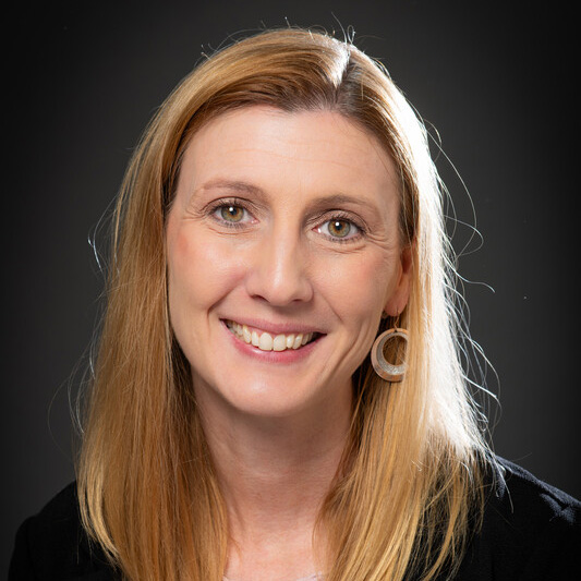 布列塔尼科特斯