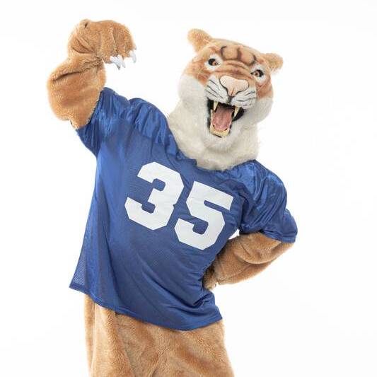 Coming Soon Coming Soon