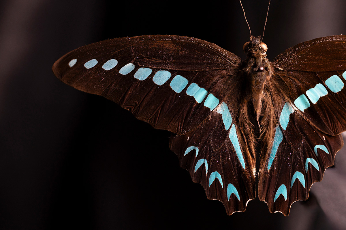 Student photo from exhibit