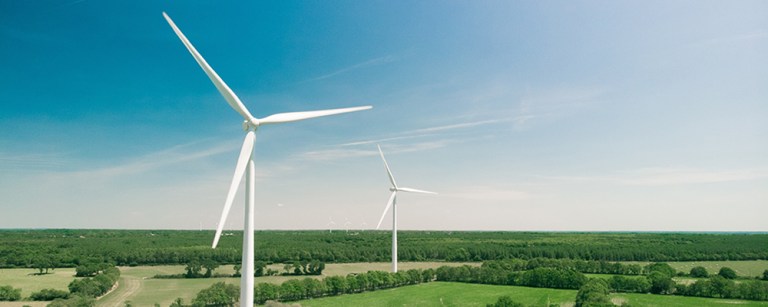 Image of wind turbines in a large field. 