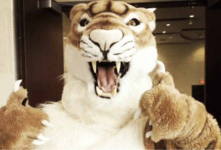 Collin Cougar giving two thumbs up to the camera.