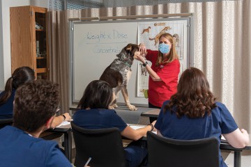 Students observe Veterinary Technology professor in class